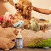 image:imageMRS MEYERS CLEAN DAY Dog Care Kit White Peach and Coconut Leaf  Includes 3in1 Dog Shampoo  White Peach Dog Deodorizing Spritz  White Peach and Pet Stain amp Odor Fighter  Coconut LeafCleaning