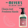 image:imageMRS MEYERS CLEAN DAY Foaming Hand Soap Concentrated Refills 4 Concentrated Refills 2 Fl Oz each Rain Water Scent Makes 40 Fl Oz of Foaming Soap Total  Moisturizing Hand Soap Softens and Cleans Hands 4 Concentrated Refills 2 Fl Oz each Makes 40 Fl Oz of Foaming SoapAloe Vera