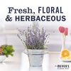 image:imageMRS MEYERS CLEAN DAY Foaming Hand Soap Concentrated Refills 4 Concentrated Refills 2 Fl Oz each Rain Water Scent Makes 40 Fl Oz of Foaming Soap Total  Moisturizing Hand Soap Softens and Cleans Hands 4 Concentrated Refills 2 Fl Oz each Makes 40 Fl Oz of Foaming SoapLavender