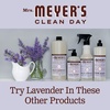 image:imageMRS MEYERS CLEAN DAY Foaming Hand Soap Concentrated Refills 4 Concentrated Refills 2 Fl Oz each Rain Water Scent Makes 40 Fl Oz of Foaming Soap Total  Moisturizing Hand Soap Softens and Cleans Hands 4 Concentrated Refills 2 Fl Oz each Makes 40 Fl Oz of Foaming SoapLavender