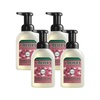 image:imageMRS MEYERS CLEAN DAY Foaming Hand Soap Concentrated Refills 4 Concentrated Refills 2 Fl Oz each Rain Water Scent Makes 40 Fl Oz of Foaming Soap Total  Moisturizing Hand Soap Softens and Cleans Hands 4 Concentrated Refills 2 Fl Oz each Makes 40 Fl Oz of Foaming SoapAloe Vera
