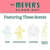image:imageMRS MEYERS CLEAN DAY Foaming Hand Soap Concentrated Refills 4 Concentrated Refills 2 Fl Oz each Rain Water Scent Makes 40 Fl Oz of Foaming Soap Total  Moisturizing Hand Soap Softens and Cleans Hands 4 Concentrated Refills 2 Fl Oz each Makes 40 Fl Oz of Foaming SoapAloe Vera