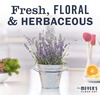 image:imageMRS MEYERS CLEAN DAY Foaming Hand Soap Concentrated Refills 4 Concentrated Refills 2 Fl Oz each Rain Water Scent Makes 40 Fl Oz of Foaming Soap Total  Moisturizing Hand Soap Softens and Cleans Hands 4 Concentrated Refills 2 Fl Oz each Makes 40 Fl Oz of Foaming SoapLavender
