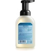 image:imageMRS MEYERS CLEAN DAY Foaming Hand Soap Concentrated Refills 4 Concentrated Refills 2 Fl Oz each Rain Water Scent Makes 40 Fl Oz of Foaming Soap Total  Moisturizing Hand Soap Softens and Cleans Hands 4 Concentrated Refills 2 Fl Oz each Makes 40 Fl Oz of Foaming SoapOat Blossom  Plumberry  Rainwater