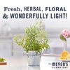 image:imageMRS MEYERS CLEAN DAY Hand Soap Refill Made with Essential Oils Lavender 33 fl oz  Pack of 6  Moisturizing Liquid Hand Soap Softens and Cleans Hands Cruelty Free Made with Essential Oils Olive Oil and Aloe VeraLemon Verbena