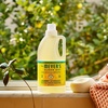 image:imageMRS MEYERS CLEAN DAY Laundry Detergent Honeysuckle 64 Fluid OunceHoneysuckle