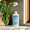 image:imageMRS MEYERS CLEAN DAY Laundry Detergent Lavender 243 fl oz  Ultra Concentrated 60 Loads Gentle on Clothes Removes Tough Stains Made with Essential Oils and StainFighting EnzymesRain Water