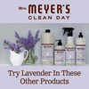 image:imageMRS MEYERS CLEAN DAY Laundry Detergent Lavender 64 fl oz 2 Pack  Brightens Colors Removes Tough Stains Up to 64 Loads a Bottle Made with Essential Oils and StainFighting EnzymesLavender