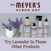 image:imageMRS MEYERS CLEAN DAY Liquid Dish Soap Limited Edition Snowdrop 16 Fl Oz  Pack of 3  Cuts Through Grease Removes 48Hour Stuck on Food Cruelty Free Made with Essential Oils and Aloe Vera Extract64 Fl Oz Pack of 1
