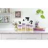 image:imageMRS MEYERS CLEAN DAY Liquid Dish Soap Limited Edition Snowdrop 16 Fl Oz  Pack of 3  Cuts Through Grease Removes 48Hour Stuck on Food Cruelty Free Made with Essential Oils and Aloe Vera Extract16 Fl Oz Pack of 1