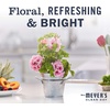 image:imageMRS MEYERS CLEAN DAY Liquid Dish Soap Limited Edition Snowdrop 16 Fl Oz  Pack of 3  Cuts Through Grease Removes 48Hour Stuck on Food Cruelty Free Made with Essential Oils and Aloe Vera Extract48 Fl Oz Pack of 1