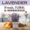 image:imageMRS MEYERS CLEAN DAY Liquid Dish Soap Limited Edition Snowdrop 16 Fl Oz  Pack of 3  Cuts Through Grease Removes 48Hour Stuck on Food Cruelty Free Made with Essential Oils and Aloe Vera Extract48 Fl Oz Pack of 1