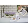 image:imageMRS MEYERS CLEAN DAY Liquid Dish Soap Limited Edition Snowdrop 16 Fl Oz  Pack of 3  Cuts Through Grease Removes 48Hour Stuck on Food Cruelty Free Made with Essential Oils and Aloe Vera Extract64 Fl Oz Pack of 1