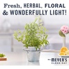 image:imageMRS MEYERS CLEAN DAY MultiSurface Everyday Concentrate Basil Scent 32 Fl Oz Bottle  Dilute with Water for Powerful Cleaner Makes Up to 16 Gallons per Bottle Removes Dirt and Freshens SurfacesLemon Verbena