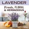 image:imageMRS MEYERS CLEAN DAY MultiSurface Everyday Concentrate Basil Scent 32 Fl Oz Bottle  Dilute with Water for Powerful Cleaner Makes Up to 16 Gallons per Bottle Removes Dirt and Freshens SurfacesLavender