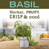 image:imageMRS MEYERS CLEAN DAY MultiSurface Everyday Concentrate Basil Scent 32 Fl Oz Bottle  Dilute with Water for Powerful Cleaner Makes Up to 16 Gallons per Bottle Removes Dirt and Freshens SurfacesBasil