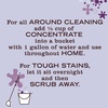 image:imageMRS MEYERS CLEAN DAY MultiSurface Everyday Concentrate Basil Scent 32 Fl Oz Bottle  Dilute with Water for Powerful Cleaner Makes Up to 16 Gallons per Bottle Removes Dirt and Freshens SurfacesLavender
