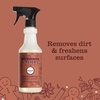 image:imageMRS MEYERS CLEAN DAY MultiSurface Everyday Concentrate Basil Scent 32 Fl Oz Bottle  Dilute with Water for Powerful Cleaner Makes Up to 16 Gallons per Bottle Removes Dirt and Freshens SurfacesGingerbread