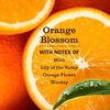 image:imageMRS MEYERS CLEAN DAY Pet Odor Neutralizer Coconut Leaf Scent 12ozOrange Blossom