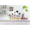 image:imageMRS MEYERS CLEAN DAY Room Spray Snowdrop Scent 8 Fl Oz Bottle  3 PackCompassion Flower