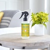image:imageMRS MEYERS CLEAN DAY Room Spray Snowdrop Scent 8 Fl Oz Bottle  3 PackHoneysuckle