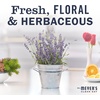 image:imageMRS MEYERS CLEAN DAY Room Spray Snowdrop Scent 8 Fl Oz Bottle  3 PackLavender