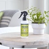 image:imageMRS MEYERS CLEAN DAY Room Spray Snowdrop Scent 8 Fl Oz Bottle  3 PackLemon Verbena