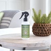 image:imageMRS MEYERS CLEAN DAY Room Spray Snowdrop Scent 8 Fl Oz Bottle  3 PackPine