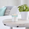 image:imageMRS MEYERS CLEAN DAY Soy Aromatherapy Candle 35 Hour Burn Time Made with Soy Wax and Essential Oils Limited Edition Snowdrop 72 oz  Pack of 2Basil