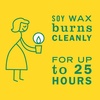 image:imageMRS MEYERS CLEAN DAY Soy Aromatherapy Candle 35 Hour Burn Time Made with Soy Wax and Essential Oils Limited Edition Snowdrop 72 oz  Pack of 2Honeysuckle