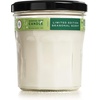image:imageMRS MEYERS CLEAN DAY Soy Aromatherapy Candle 35 Hour Burn Time Made with Soy Wax and Essential Oils Limited Edition Snowdrop 72 oz  Pack of 2Iowa Pine