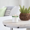image:imageMRS MEYERS CLEAN DAY Soy Aromatherapy Candle 35 Hour Burn Time Made with Soy Wax and Essential Oils Limited Edition Snowdrop 72 oz  Pack of 2Iowa Pine