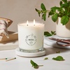 image:imageMRS MEYERS CLEAN DAY Soy Aromatherapy Candle 35 Hour Burn Time Made with Soy Wax and Essential Oils Limited Edition Snowdrop 72 oz  Pack of 2Mint