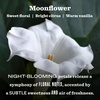 image:imageMRS MEYERS CLEAN DAY Soy Aromatherapy Candle 35 Hour Burn Time Made with Soy Wax and Essential Oils Limited Edition Snowdrop 72 oz  Pack of 2Moonflower