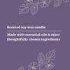 image:imageMRS MEYERS CLEAN DAY Soy Aromatherapy Candle 35 Hour Burn Time Made with Soy Wax and Essential Oils Limited Edition Snowdrop 72 oz  Pack of 2Moonflower
