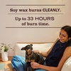 image:imageMRS MEYERS CLEAN DAY Soy Aromatherapy Candle 35 Hour Burn Time Made with Soy Wax and Essential Oils Limited Edition Snowdrop 72 oz  Pack of 2Peony