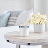 image:imageMRS MEYERS CLEAN DAY Soy Aromatherapy Candle 35 Hour Burn Time Made with Soy Wax and Essential Oils Limited Edition Snowdrop 72 oz  Pack of 2Snowdrop