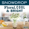 image:imageMRS MEYERS CLEAN DAY Soy Aromatherapy Candle 35 Hour Burn Time Made with Soy Wax and Essential Oils Limited Edition Snowdrop 72 oz  Pack of 2Snowdrop