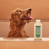 image:imageMRS MEYERS Clean Day 3 in 1 Dog Shampoo White Peach Scent 14ozSweet Chamomile