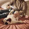 image:imageMRS MEYERS Clean Day 3 in 1 Dog Shampoo White Peach Scent 14ozSweet Chamomile