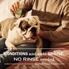 image:imageMRS MEYERS Clean Day 3 in 1 Dog Shampoo White Peach Scent 14ozSweet Chamomile