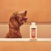 image:imageMRS MEYERS Clean Day 3 in 1 Dog Shampoo White Peach Scent 14ozWhite Peach