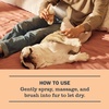 image:imageMRS MEYERS Clean Day 3 in 1 Dog Shampoo White Peach Scent 14ozWhite Peach