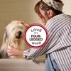 image:imageMRS MEYERS Clean Day Cat Deodorizing Spray Sweet Chamomile Scent 8ozSweet Chamomile
