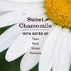 image:imageMRS MEYERS Clean Day Cat Deodorizing Spray Sweet Chamomile Scent 8ozSweet Chamomile