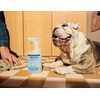 image:imageMrs MEYERS CLEAN DAY Pet MultiSurface Cleaner Coconut Leaf Scent 16ozCoconut Leaf