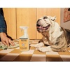 image:imageMrs MEYERS CLEAN DAY Pet MultiSurface Cleaner Coconut Leaf Scent 16ozOrange Blossom