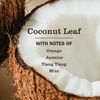 image:imageMrs MEYERS CLEAN DAY Pet Stain amp Odor Fighter Coconut Leaf Scent 16ozCoconut Leaf