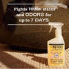 image:imageMrs MEYERS CLEAN DAY Pet Stain amp Odor Fighter Coconut Leaf Scent 16ozOrange Blossom