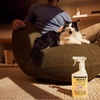 image:imageMrs MEYERS CLEAN DAY Pet Stain amp Odor Fighter Coconut Leaf Scent 16ozOrange Blossom